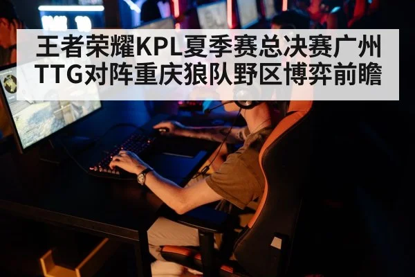 王者荣耀KPL夏季赛总决赛广州TTG对阵重庆狼队野区博弈前瞻