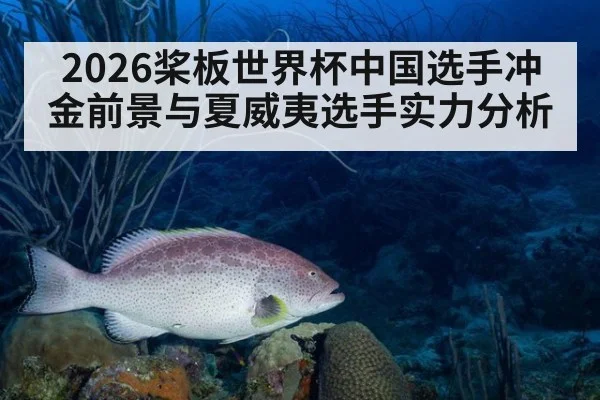 2026桨板世界杯中国选手冲金前景与夏威夷选手实力分析